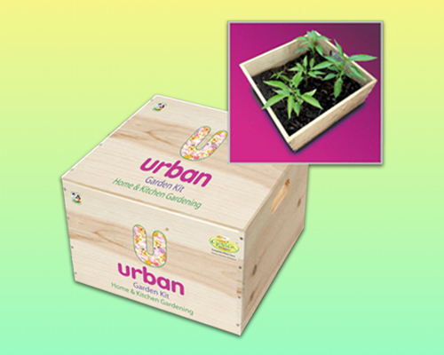 Urban Garden Kit