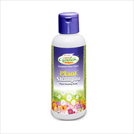 Plant Shampoo For Clean And Shiny Plants